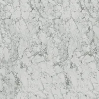 S63009 Marmor Carrara Image