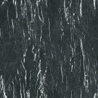 S63028 Nero Portoro  Image
