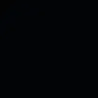 2190 Schwarz RAL 9004 Image