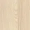 R38002 Akazie Image