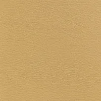 Acua Beige Image