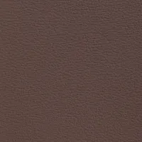 Acua Chocolate Image