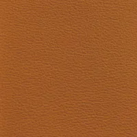 Acua Dune Image