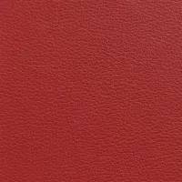 Acua Granate Image