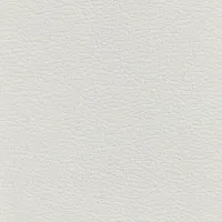 Acua Gris Image
