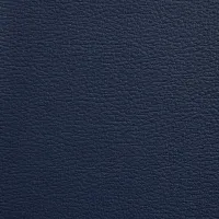 Acua Marino Image