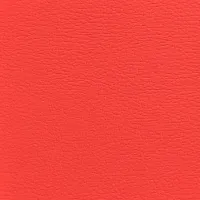 Acua Salmon Image