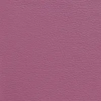 Acua Violeta Image