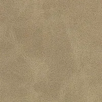 Aniline Ambar Image