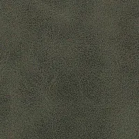 Aniline Calima Image