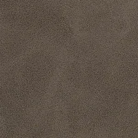Aniline Camel Image