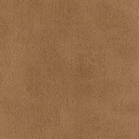 Aniline Canela Image