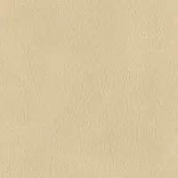 Aniline Light Image