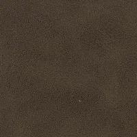Aniline Tostado Image