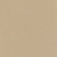 Evole Grain Beige Image