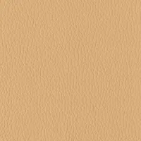 Evole Grain Canela Image