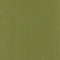 Evole Grain Caqui Image