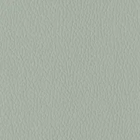 Evole Grain Ceniza Image