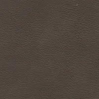Evole Grain Chocolate Image