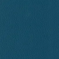 Evole Grain Coral Image
