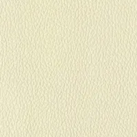 Evole Grain Crema Image