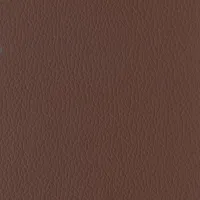 Evole Grain Espresso Image