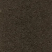 Evole Grain Marron Image