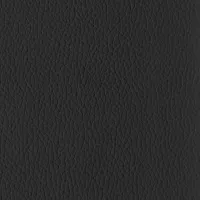 Evole Grain Negro Image
