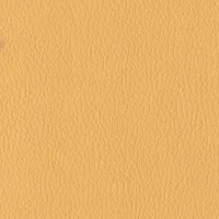Evole Grain Ocre Image