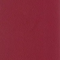 Evole Grain Rubi Image