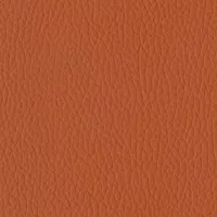 Evole Grain Teja Image