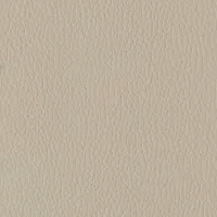 Evole Grain Tierra Image