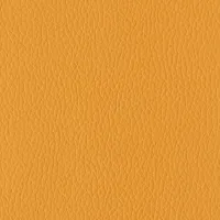 Evole Grain Trigo Image