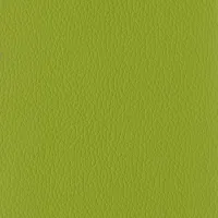 Evole Grain Verde Image