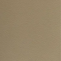 Master Pro Amber Image