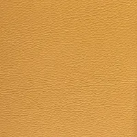 Master Pro Canela Image