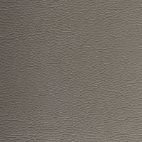 Master Pro Fossil Image