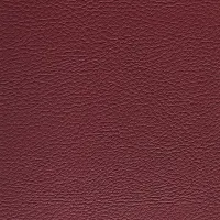 Master Pro Garnet Image