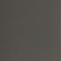 Master Pro Grey Image