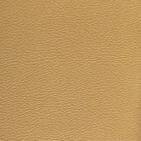Master Pro Terre Image