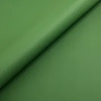 Mara Cactus Image