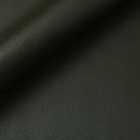 Mara Olive Image
