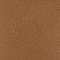 Touch Acorn Image