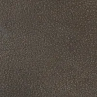 Touch Brownie Image
