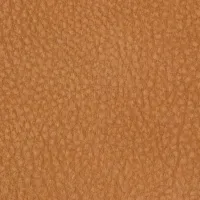 Touch Caramel Image