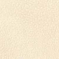 Touch Cream Image