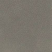 Touch Mouse  Image
