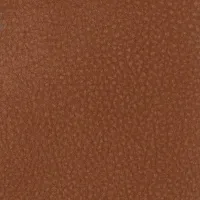 Touch Russet Image