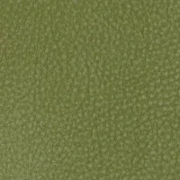 Touch Selva Image