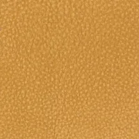Touch Sol Image